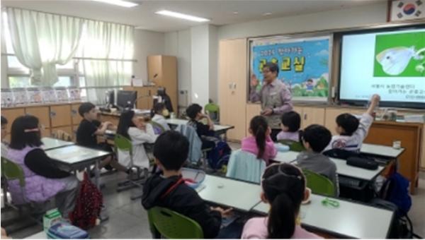 교과서 속 배추흰나비가 교실로… 서울시, 초3 대상 '찾아가는 곤충교실' 운영 기사 이미지