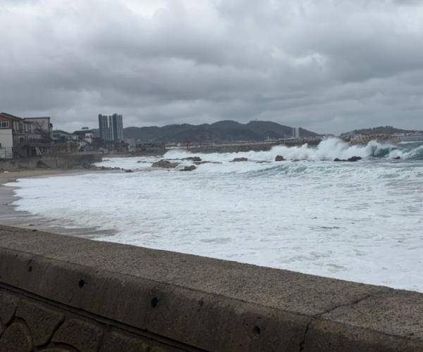 울진해경, 위험예보제'주의보'발령, 너울성 파도 주의 기사 이미지
